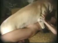 Furry dog sex with a kinky naughty slut